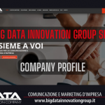big data innovation group srl - company profile
