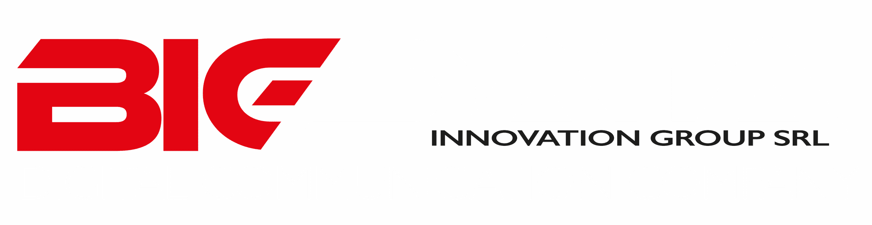 logo big data innovation group fondo scuro